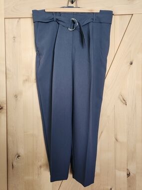 Ann Taylor The Ankle Pant In Seasonless Stretch